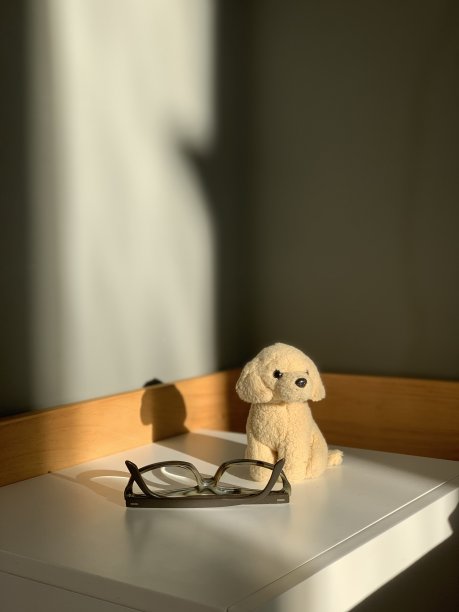 床头柜上戴着眼镜的毛绒小狗图片下载