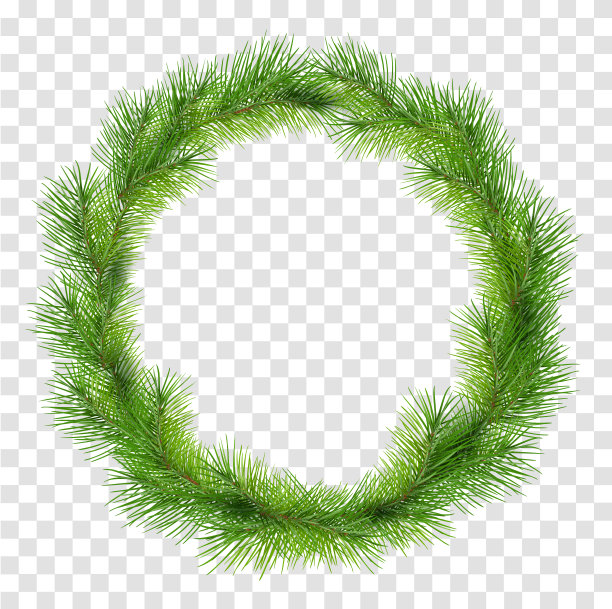 绿色的圣诞花环的冷杉松枝孤立在透明的背景图片下载