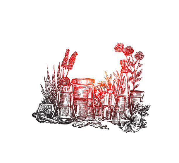 天然有机植物学和科学玻璃器皿图片下载