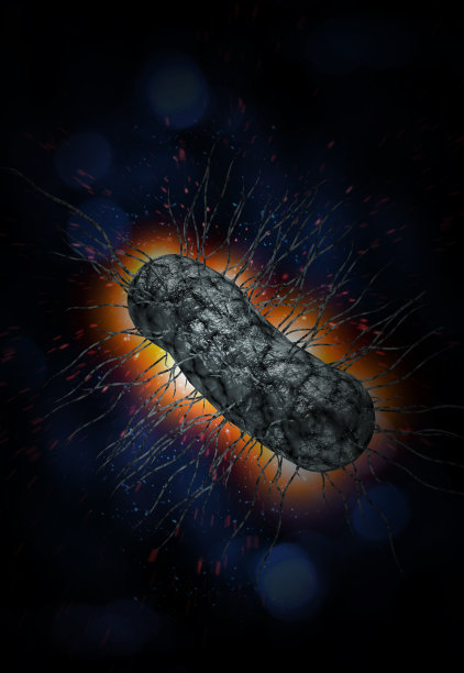 大肠杆菌细胞3D插图图片下载