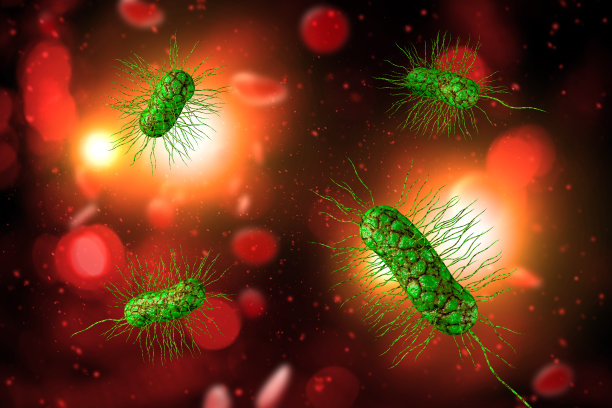 大肠杆菌细胞3D插图图片下载