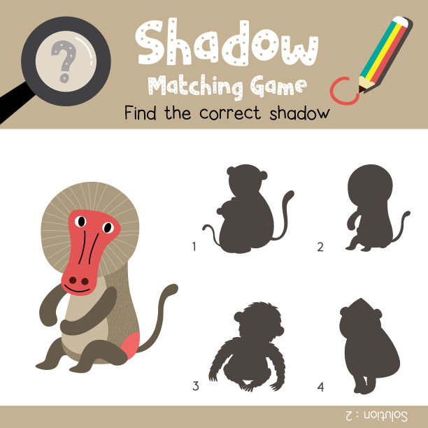 阴影匹配游戏坐狒狒动物图片下载