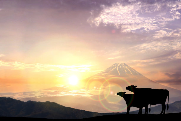牛年-贺年卡富士山与牛的剪影和第一次日出。图片下载