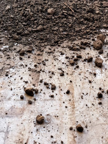 泥土在混凝土板-彩色肖像格式图片下载