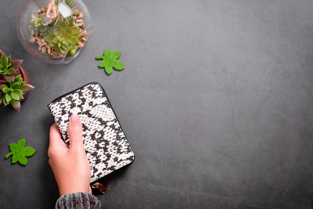 平躺在灰色的桌子上的女人手里拿着钱包和多汁植物。网上购物在家，安全购物概念，俯视图，拷贝空间图片下载