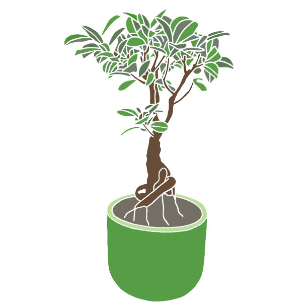 盆景配绿盆图片下载