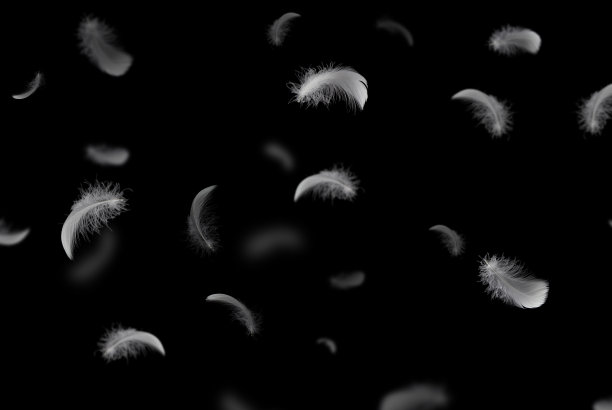 一群轻盈蓬松的白色羽毛在黑暗中漂浮着。黑色背景。图片下载