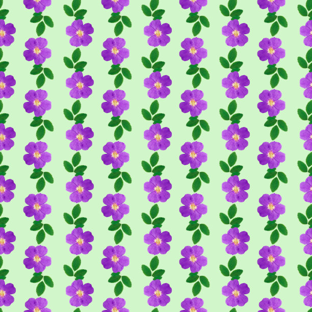 布瑞尔·罗,野玫瑰。插图，花的纹理。用于连续复制的无缝模式。花卉背景，照片拼贴为纺织品，棉布面料。用于墙纸，封面图片下载