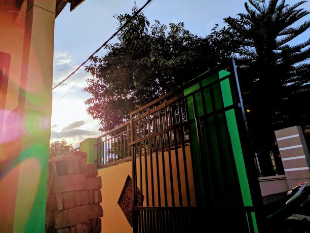 日出在快乐的早晨图片下载