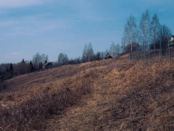 春天河岸上的枯草图片下载