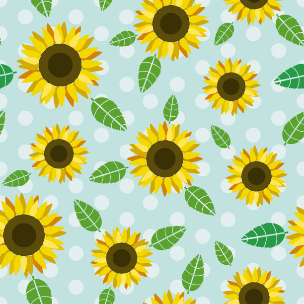 带有天蓝色圆点的向日葵花图片下载