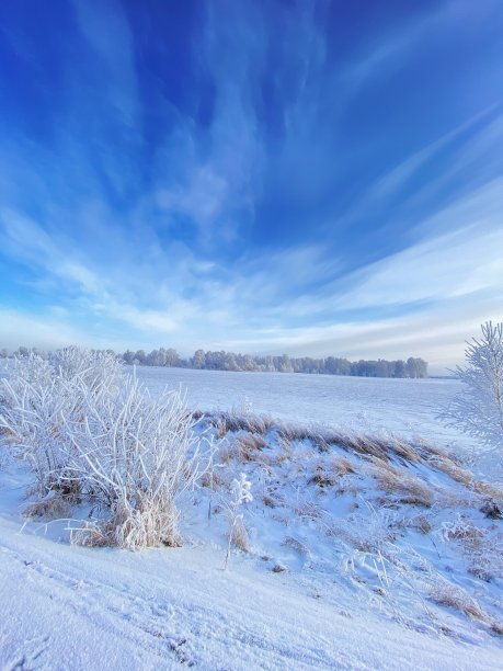 在冬天的森林里散步。图片下载