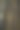 暖色调的老树干图片下载