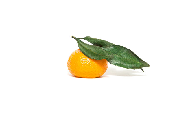 新鲜成熟的橘子图片下载