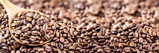 阿拉比卡咖啡种子，一种来自阿拉伯或埃塞俄比亚的天然咖啡。高分辨率图像，户外格式，用于广告使用图片下载