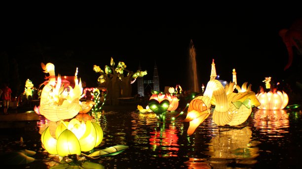 传统的光节图片下载