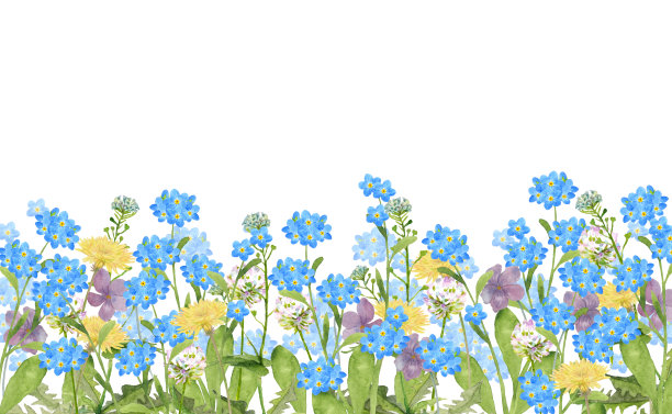 春天的野花图片下载