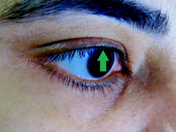 我看到绿色图片下载