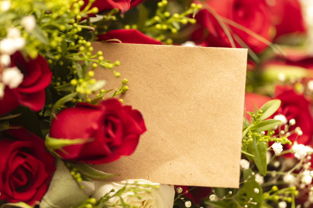 没有标签的红玫瑰图片下载