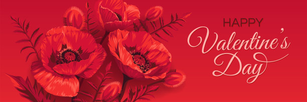 水平情人节贺卡模板与文本和鲜花。插图与红色罂粟隔离在红色背景。图片下载
