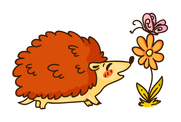 刺猬闻花孤立在白色背景图片下载