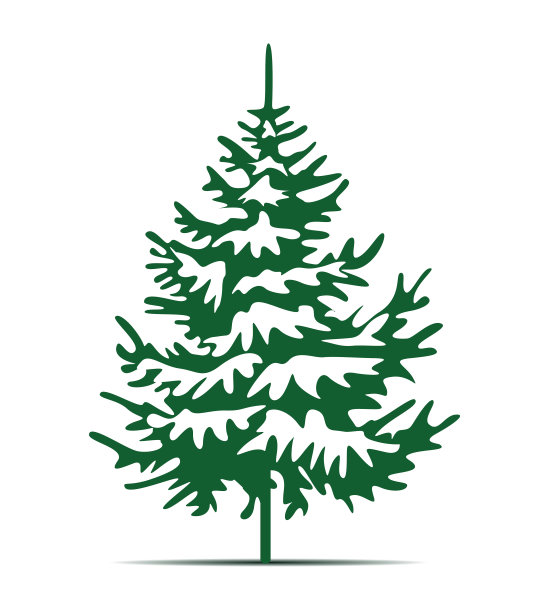 绿色的圣诞树和播种。矢量插图和图标。图片下载