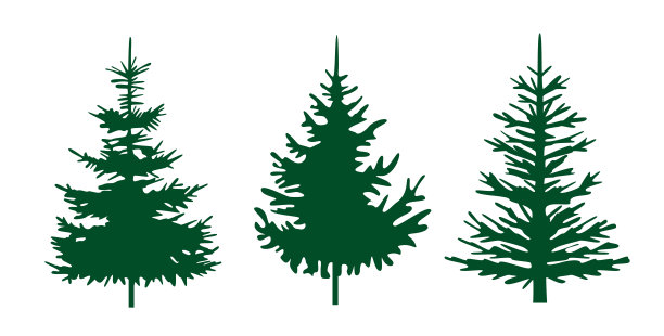 一套绿色圣诞树的冬季设计元素和简单的象形文字收集。孤立的矢量圣诞图标和插图。图片下载