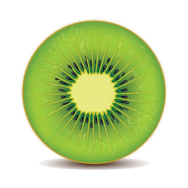 涂鸦的水果。天然热带水果，柑橘和维生素柠檬。素食厨房苹果手绘矢量图片下载