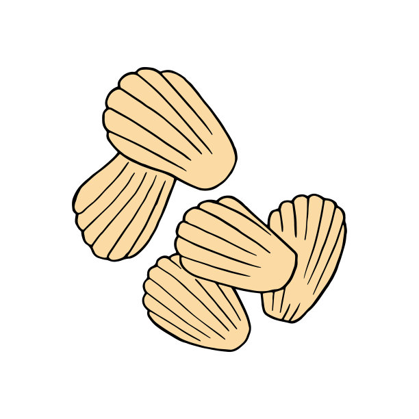 矢量手画马德琳。法国美食甜点。设计草图元素的菜单，咖啡馆，小酒馆，餐厅，面包店，标签和包装。彩色插图上的白色背景。图片下载