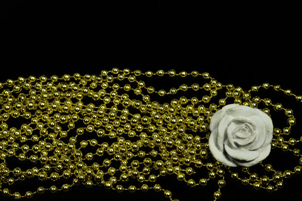 金链框配白玫瑰图片下载