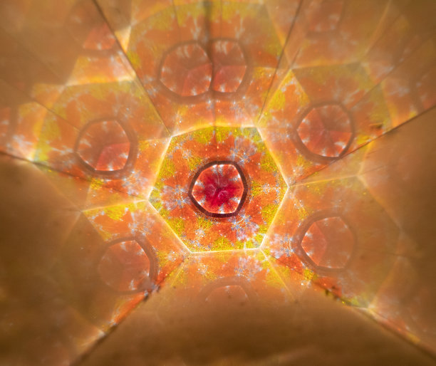 黄色，红色和橙色的六角形分形图案图片下载