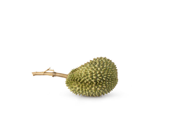 榴莲孤立在白色背景与修剪路径。水果之王图片下载