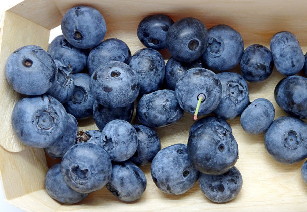 大蓝莓装在木盒子里图片下载
