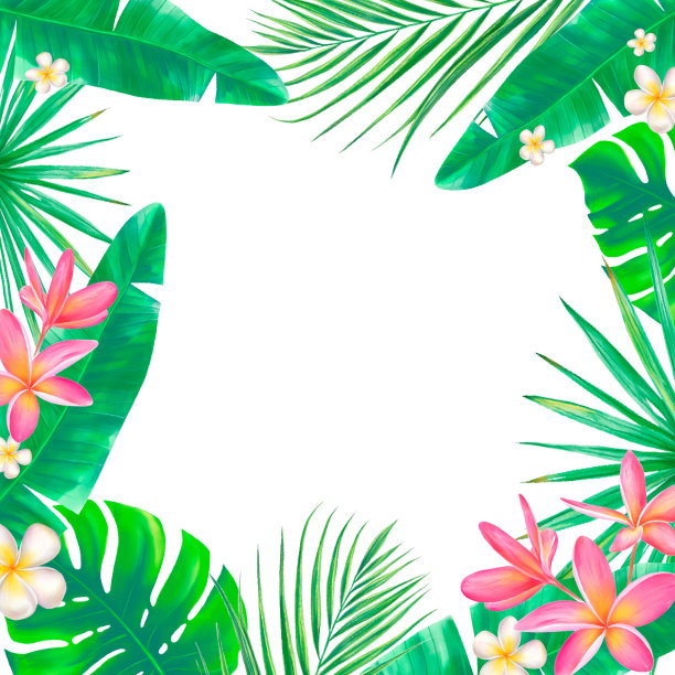 热带花卉框架图片下载