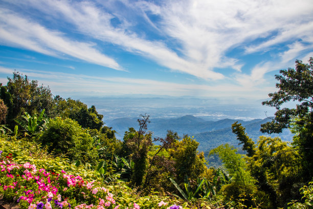 Doi Tung在泰国清莱省图片下载