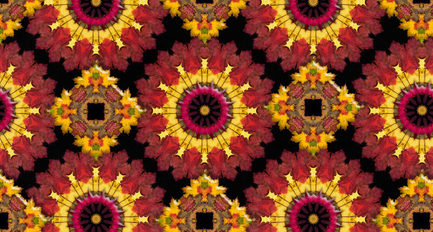 秋天的落叶模式图片下载