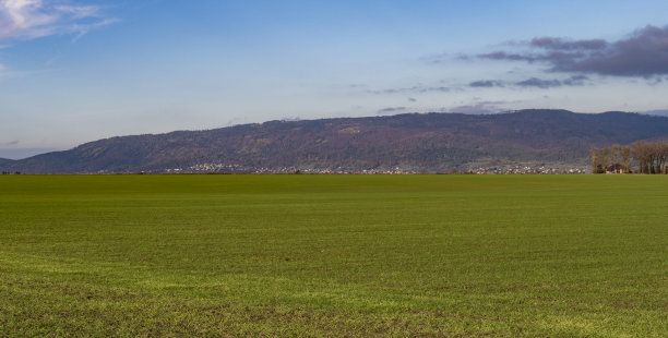 农田新鲜图片下载