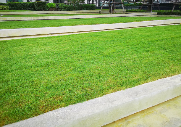 光滑清新的绿草草坪作为花园后院的地毯，精心养护景观，以开花植物装饰，灌木树荫下的树木图片下载