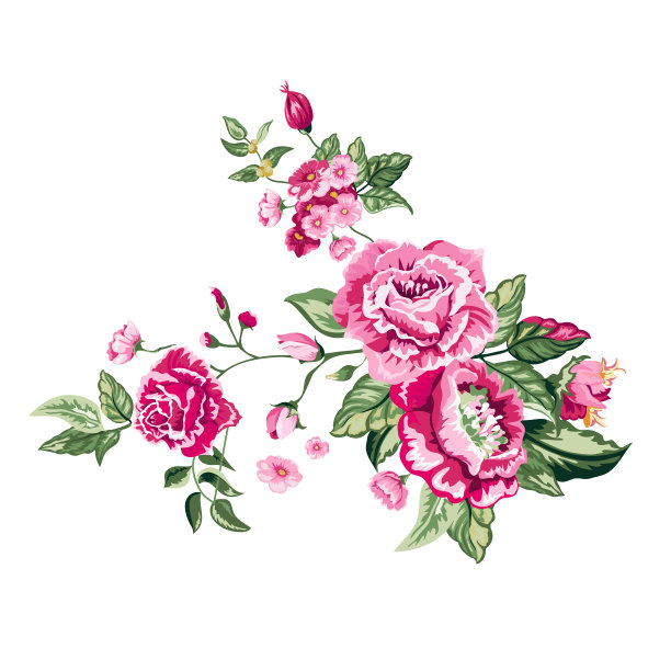 玫瑰花蕾和叶子。矢量插图孤立在白色背景。为婚礼，披肩，织物，母亲节，情人节，封面，卡片，请柬，祝贺图片下载