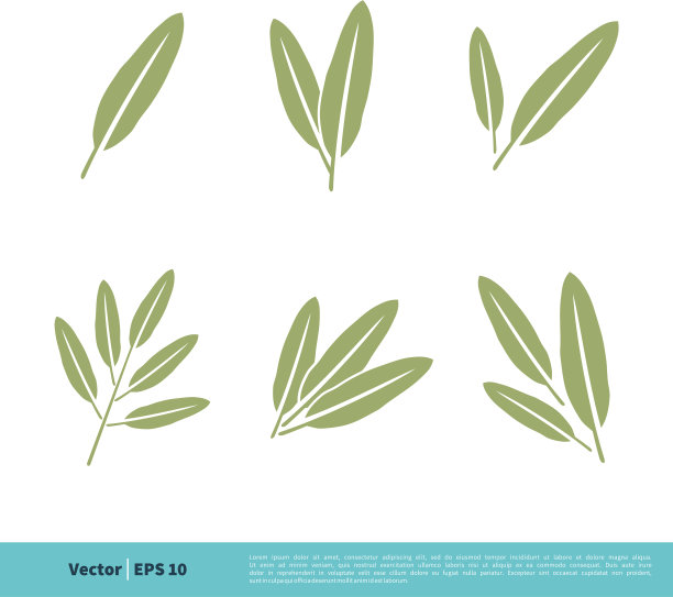 鼠尾草树叶图标标识模板设计eps 10图片下载