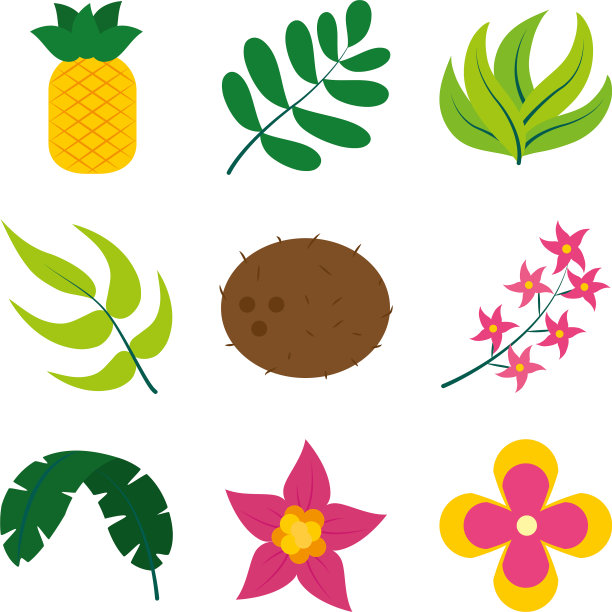 树叶和热带水果图标设置扁平风格图片下载