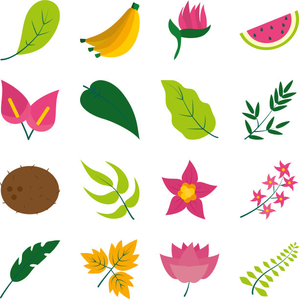 热带花卉和水果图标设置扁平风格图片下载