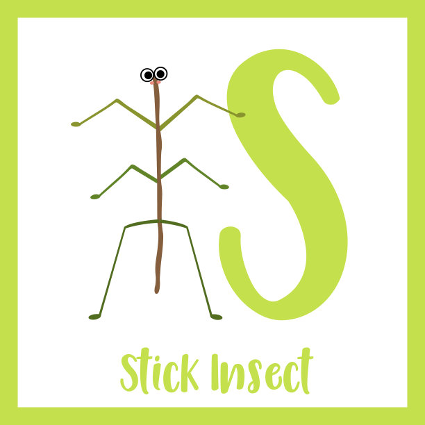 字母词汇贴虫站在二图片下载