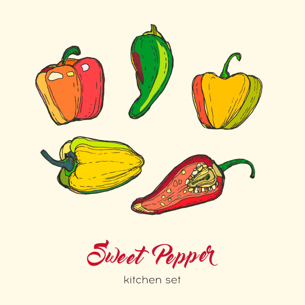 胡椒孤立组手绘图片下载