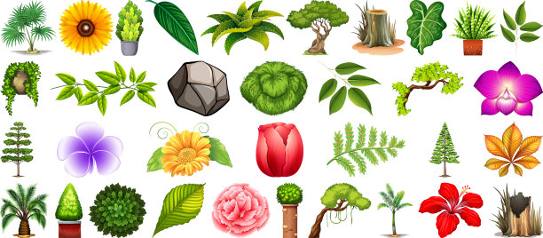 设置不同的自然隔离在白色上图片下载