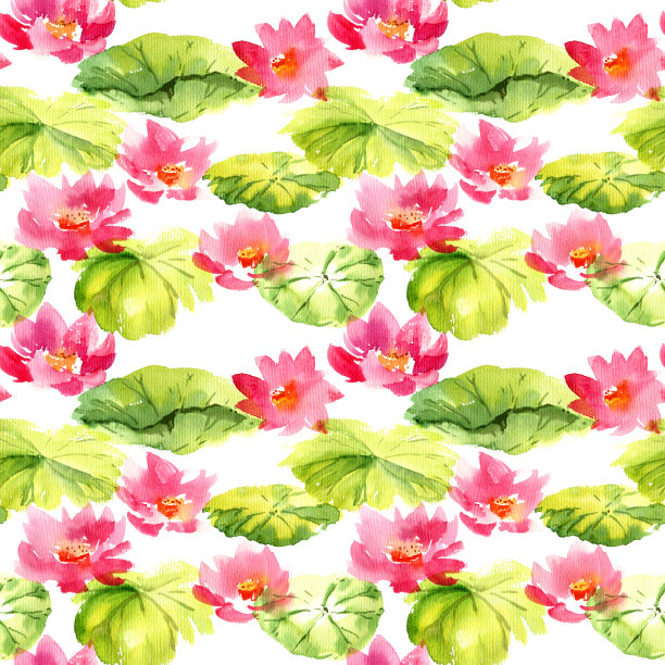 水彩睡莲荷花图片下载