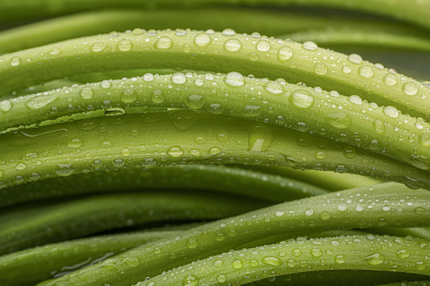 绿色的韭菜特写，水滴，美丽的纹理背景素食菜单或关于健康的食物食谱图片下载