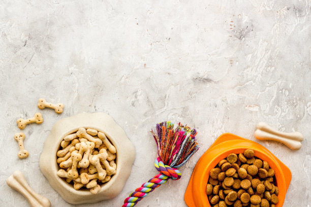 一套狗粮和玩具。宠物食品背景，俯视图图片下载