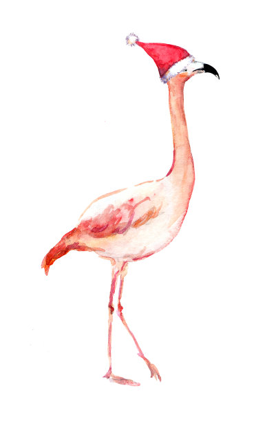 圣诞火烈鸟戴着圣诞老人的红帽子。水彩鸟素材图片