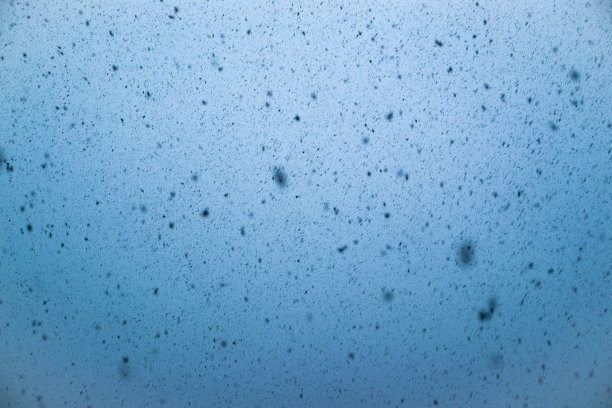 雪花落在模糊的背景上图片下载